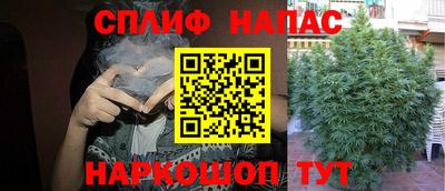 стаф Балахна