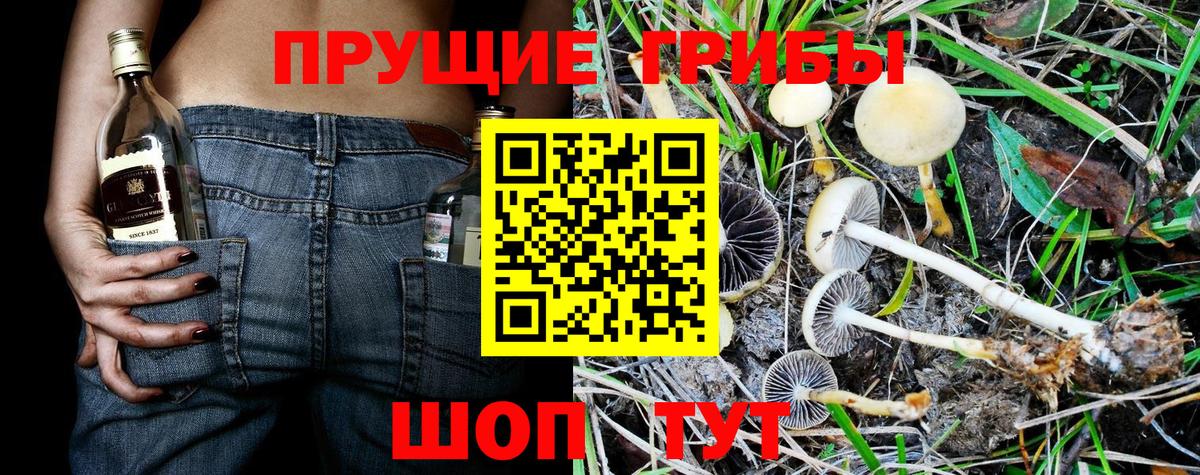 Галлюциногенные грибы Psilocybe  Вход с VPN  Псилоцибиновые грибы Psilocybine cubensis  наркота  Городец 