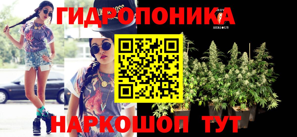Бошки Шишки MAZAR Городец